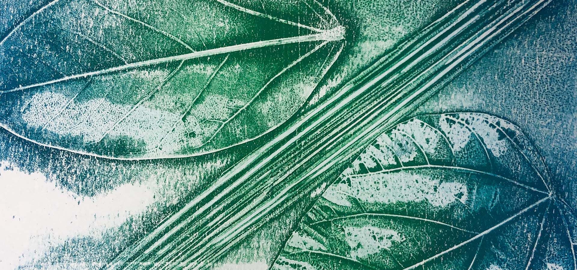 Botanical Monoprints at Honolulu Museum of Art School