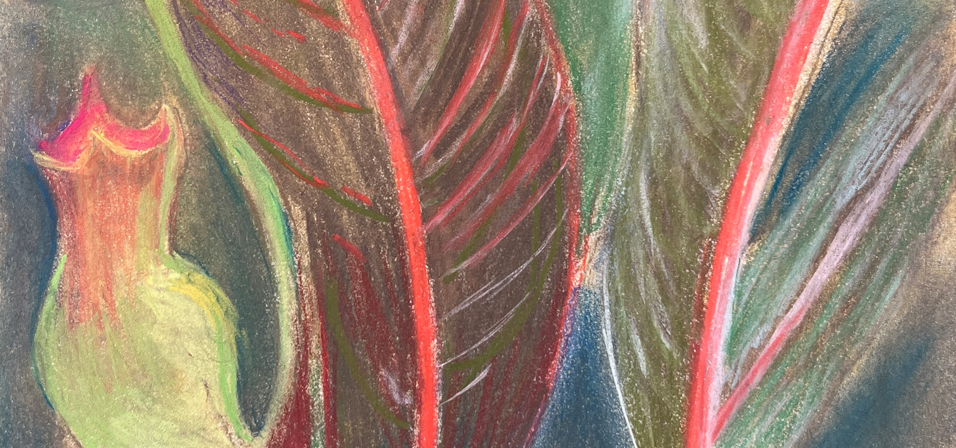 Drawing: Basics and Beyond at Honolulu Museum of Art School
