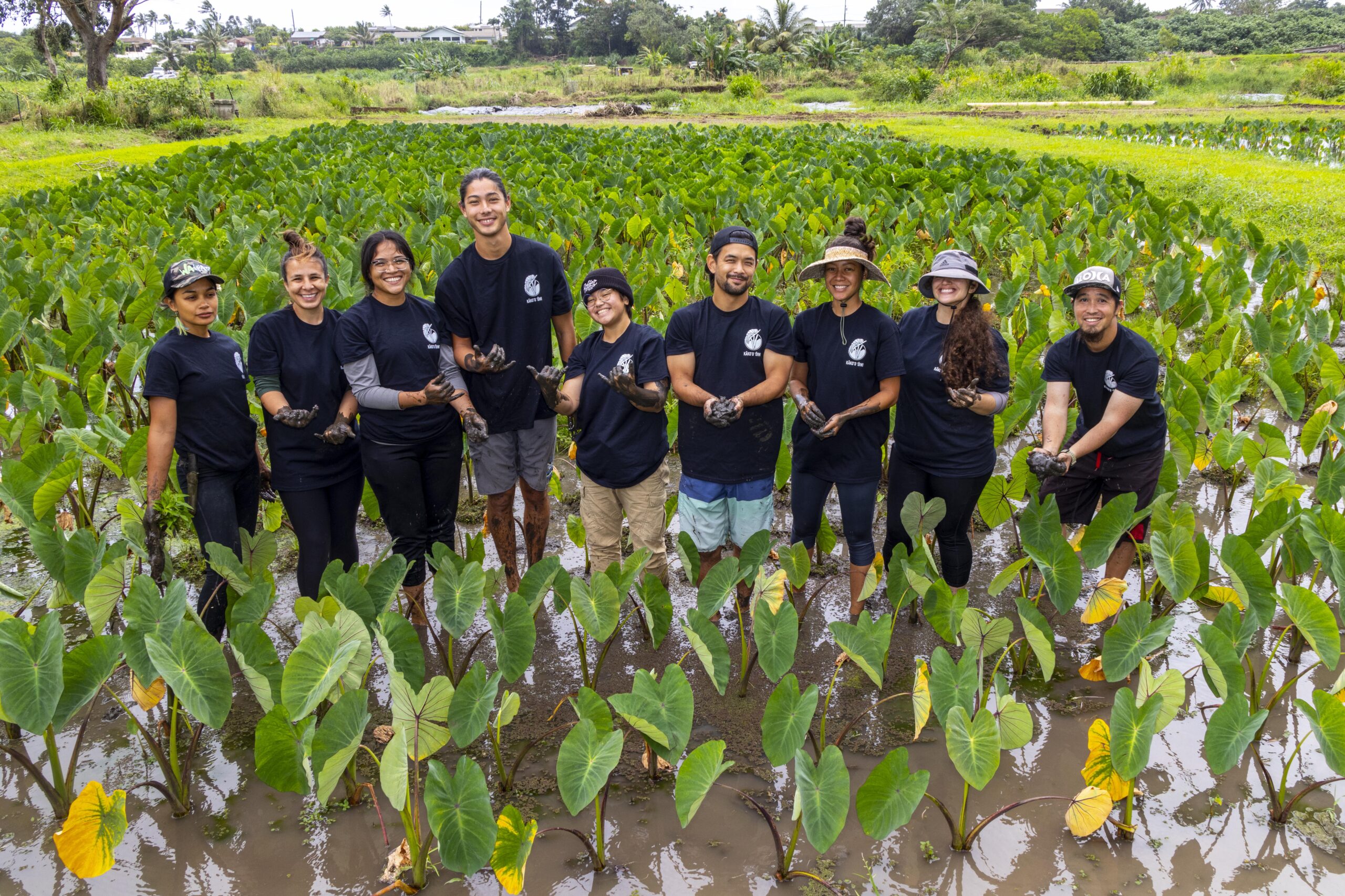 First Saturday Community Workday at Kākoʻo ʻŌiwi