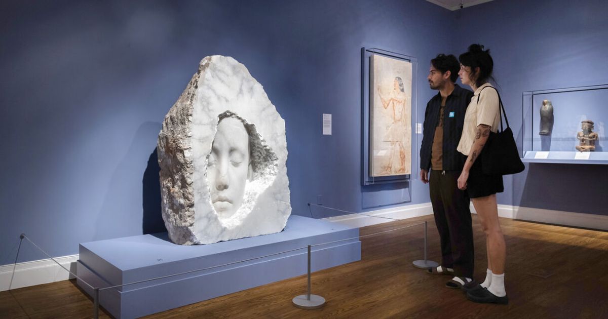 New Exhibitions Spotlight at Honolulu Museum of Art