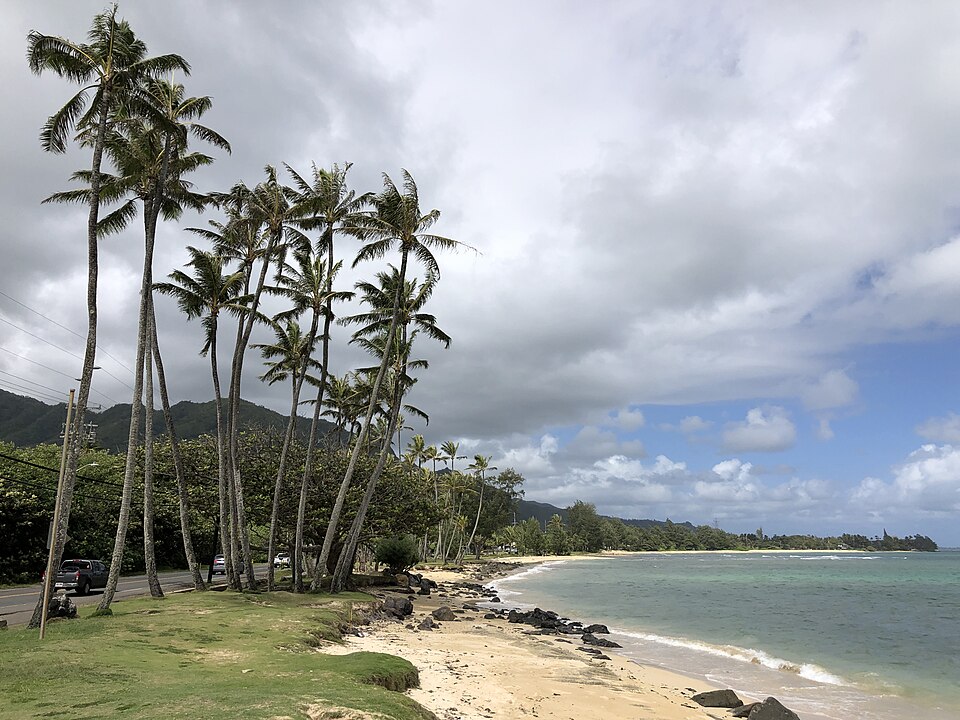 Punaluʻu, by the shack (Shrimp Shack, Punaluʻu)