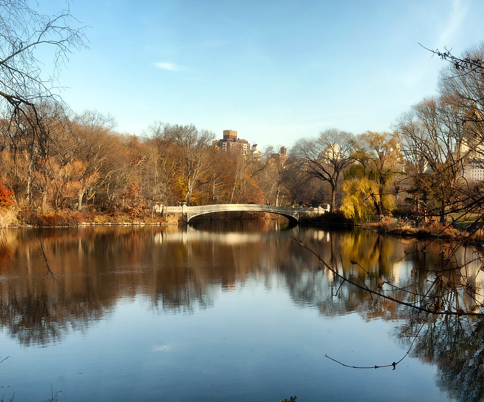 Central Park, end to end
