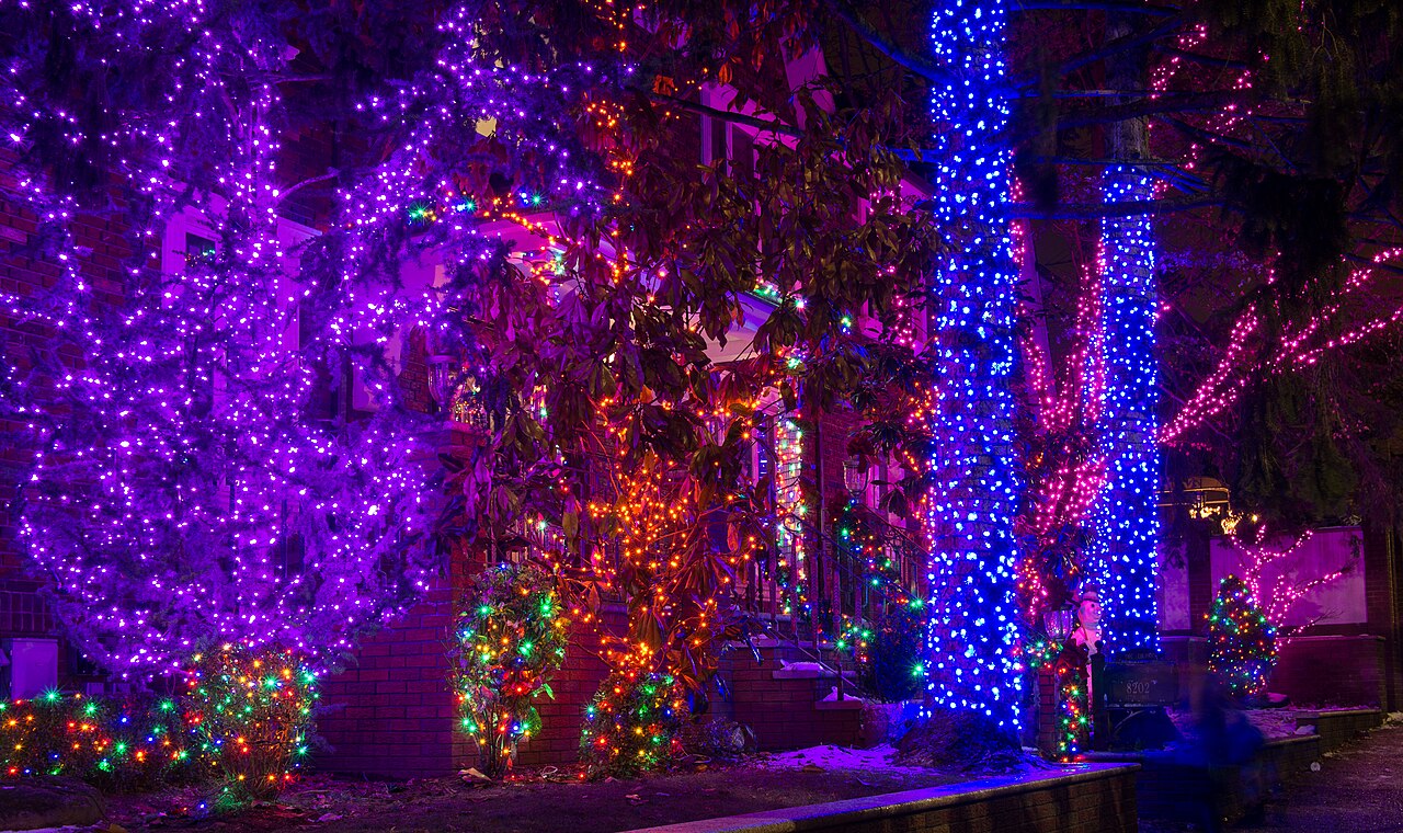 Trees lit purple and blue in a Dyker Heights front yard