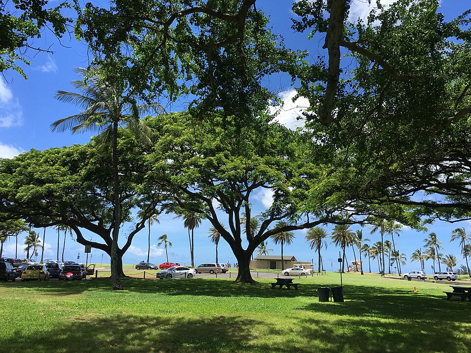 Haleʻiwa Aliʻi Beach Park
