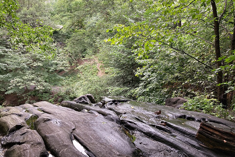 Central Park