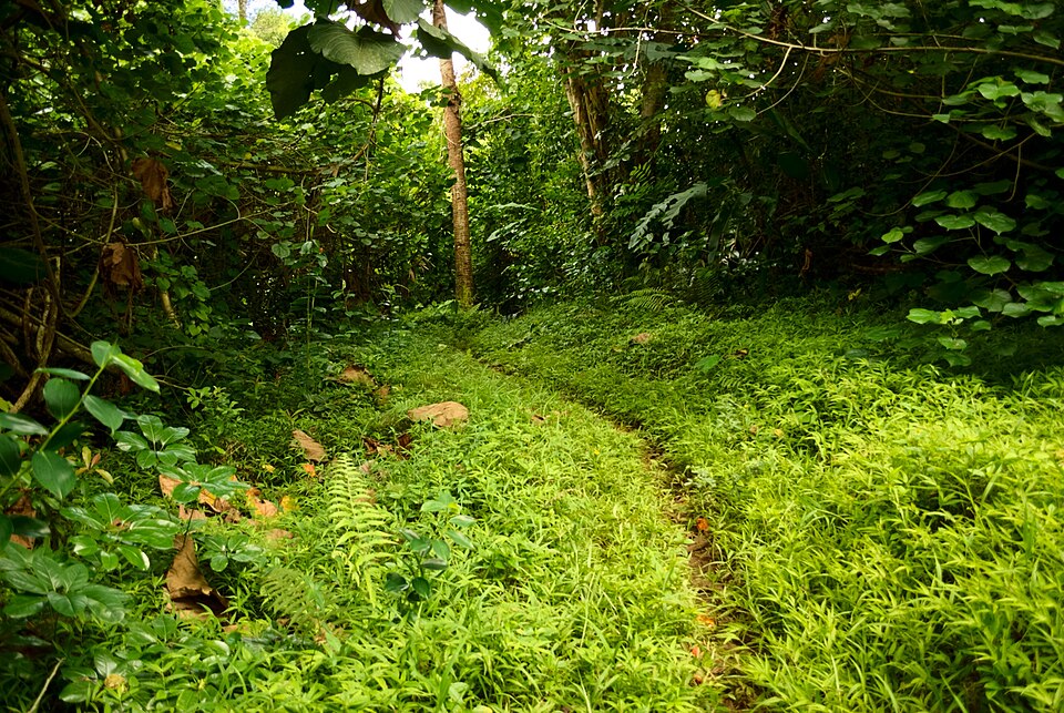 Hoʻomaluhia Botanical Garden