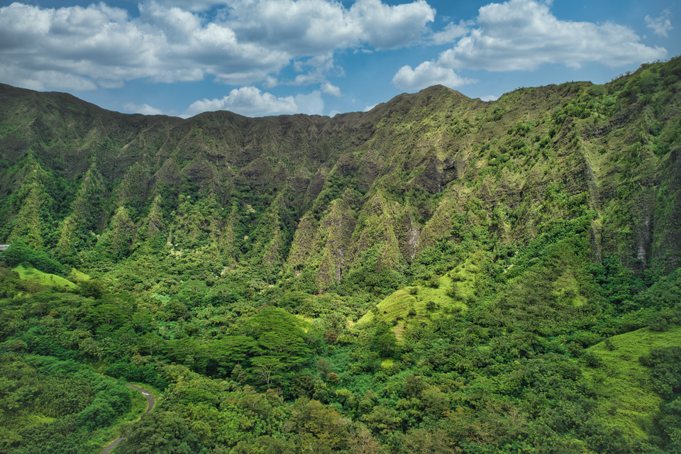 The Koʻolau cliffs above Kāneʻohe (Waterfall walks)