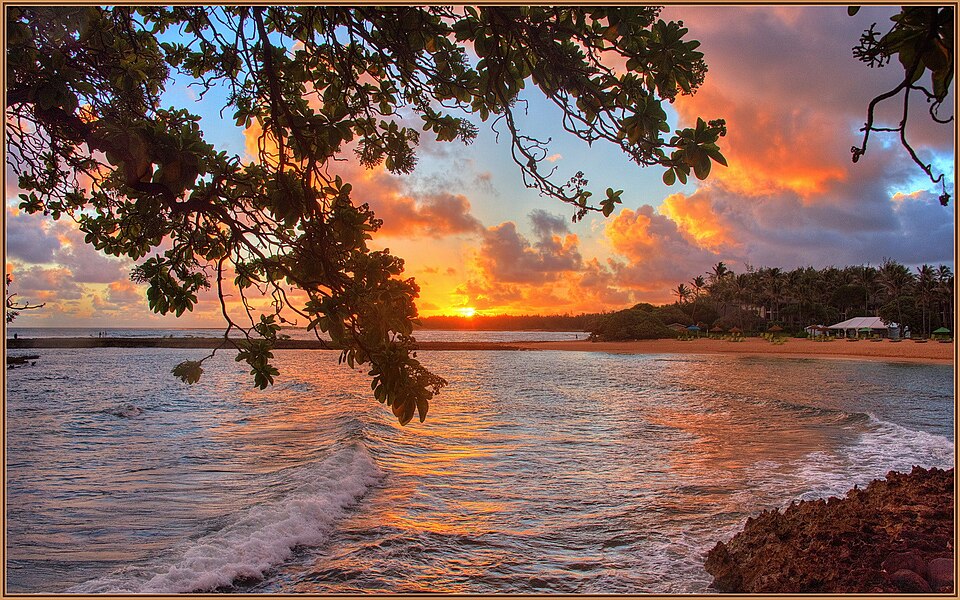 Kuilima Cove