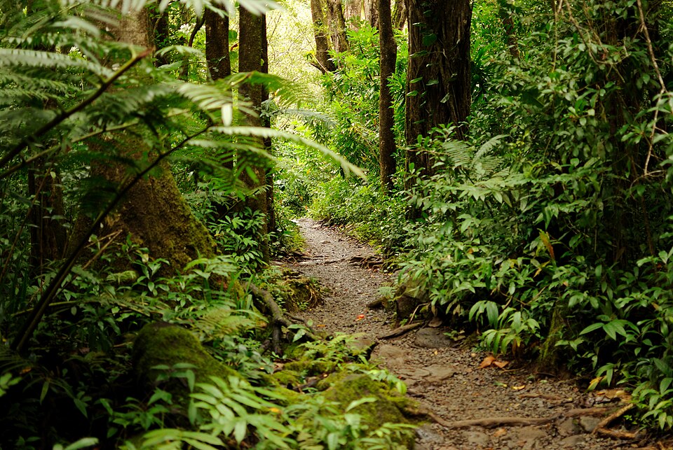 Jurassic Oʻahu beyond the ranch