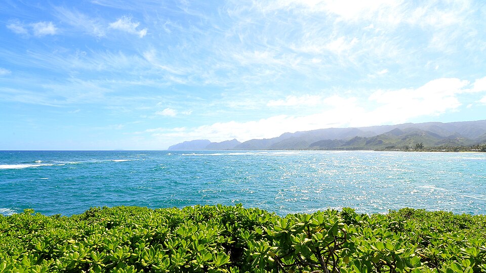 The coast at Hauʻula, below the trail (Hikes with a view)