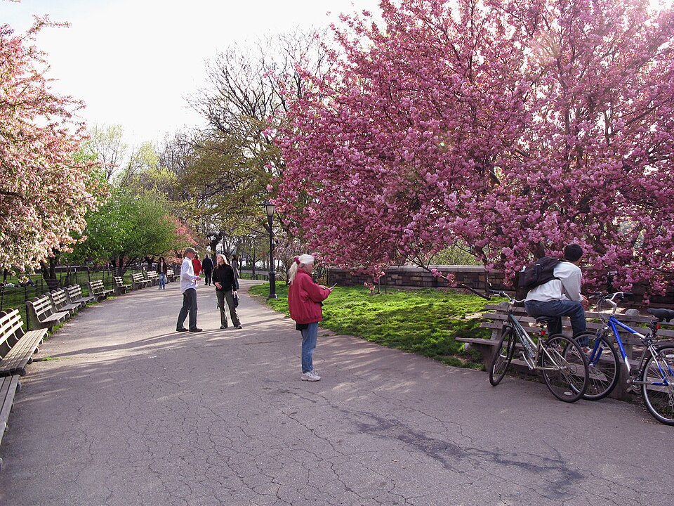 Riverside Park in spring (91st Street Garden, Riverside Park)