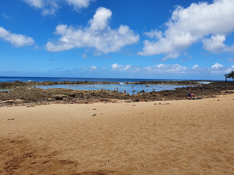 Shark’s Cove, across the road (The Sunrise Shack, Shark’s Cove)