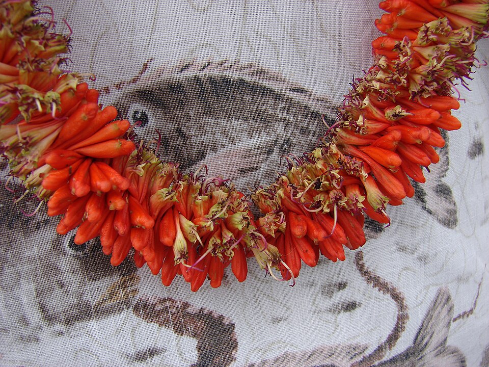 A lei (Chinatown, Honolulu)