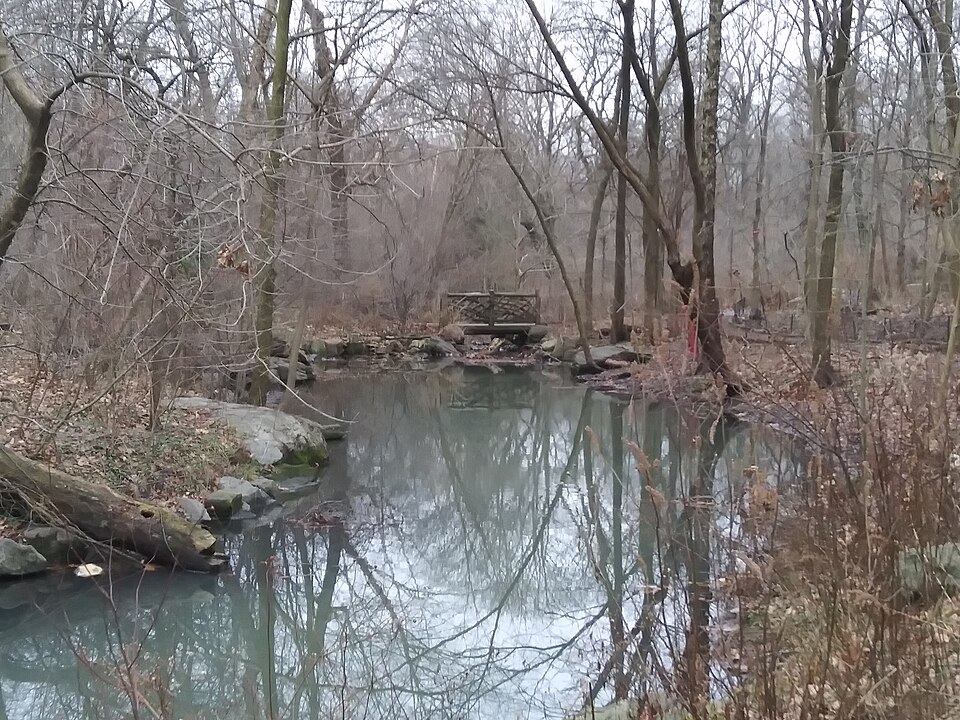 The Loch and the North Woods